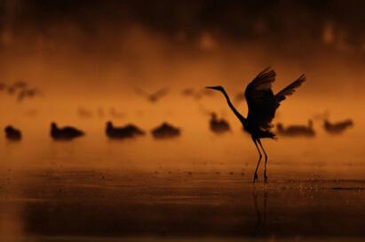 1579241240631566.jpg 20141015142750283.jpg