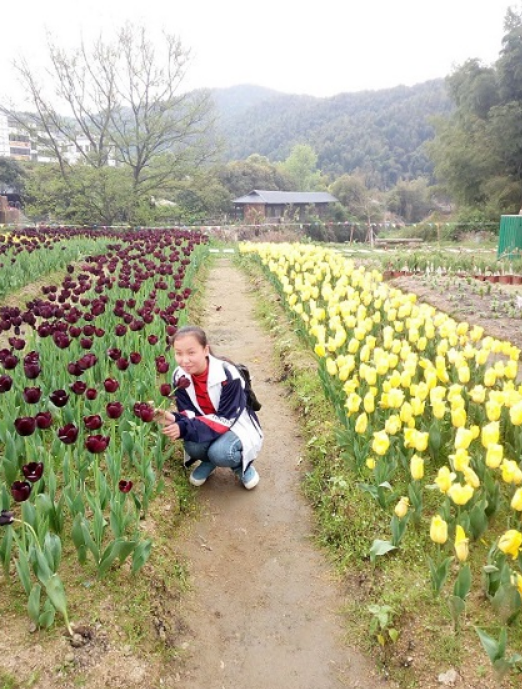 1579592335911581.png image.png